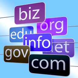 Blue Url Words Shows Org Biz Com Edu